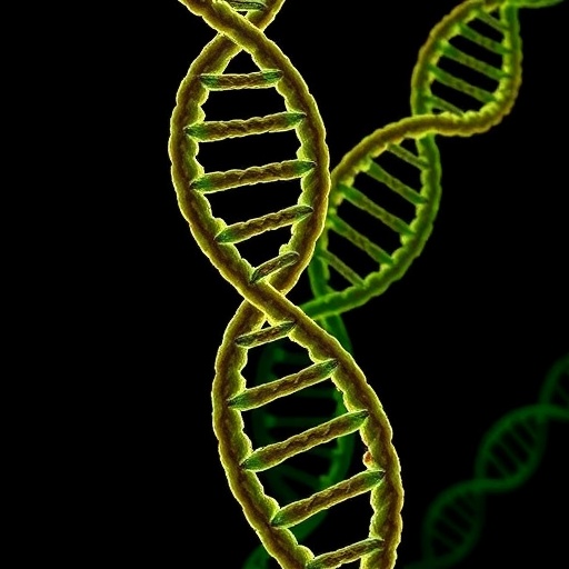 Trypanosoma cruzi’s Genome Unveils 32 Chromosomes, 3 Compartments