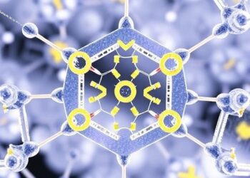 Unlocking Interfacial Solvation for Advanced Secondary Batteries