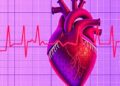 AI-Driven ECG Technology Promises Enhanced Lifelong Heart Monitoring for Patients with Repaired Tetralogy of Fallot