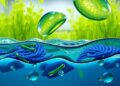 Algae Cultivated in Labs Effectively Eliminate Microplastics from Water