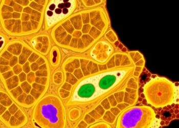 Autonomous Clinical Cytopathology via Edge Tomography
