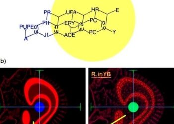 Boosted Inner Ear Targeting of AAV Vectors Achieved Through Peptide Display on AAV1 Capsid