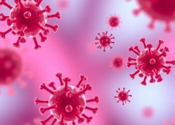 CSIC Develops Antibody Shielding Immune Cells from Dangerous Hospital-Acquired Bacterium In Vitro