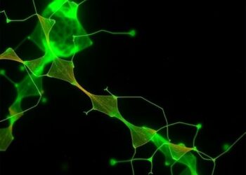 Choline Reduces Bilirubin’s Impact on L1CAM Phosphorylation