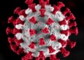 Conserved CD4+ T Cell Epitopes Boost Broad Vaccine Effects
