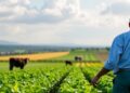 Expanding Sector: Data Quantifies True Sustainability of Farms