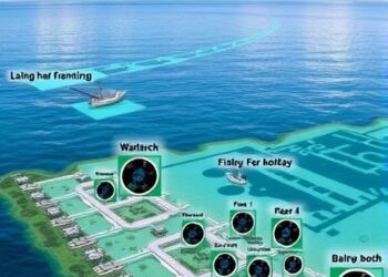 FAU Harbor Branch Secures $900,000 Grant to Advance Gulf of America Sea-Level Research