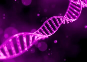 Formate Links Photorespiration to DNA Methylation