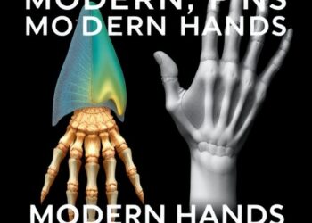 From Ancient Fins to Modern Hands: The Evolutionary Journey