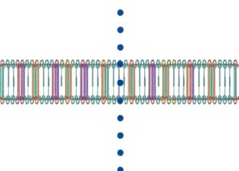Genetic Variability of Voltage-Gated Sodium Channel NaV1.2