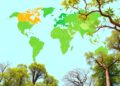 Global Patterns in Urban Tree Diversity Revealed