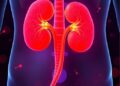 Host Factors Trump Kidney Function in Gut Microbiome