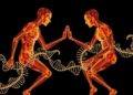 How Ancient Mating Patterns Influenced the Human Genome