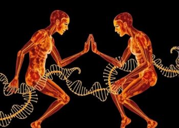 How Ancient Mating Patterns Influenced the Human Genome