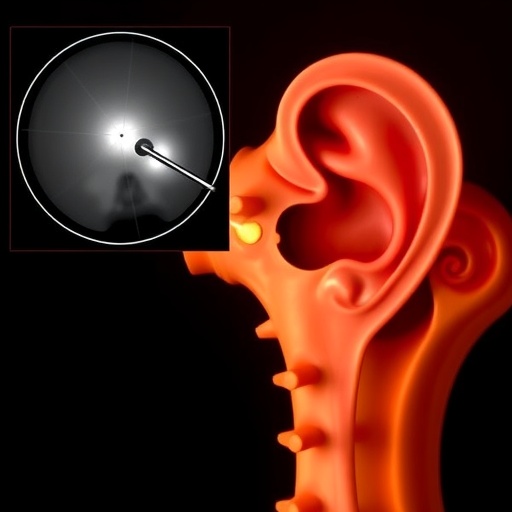 Innovative Medical Imaging Technology Enhances Precision in Cochlear Implant Bone Removal Surgery