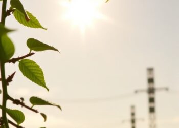 Innovative Technology Harnesses Sunlight to Decompose ‘Forever Chemicals’