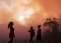 Intense Wildfire Smoke Exposure in Pregnancy Might Heighten Autism Risk, New Research Suggests