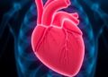 Missing Key Symptoms Linked to Kawasaki Heart Risks