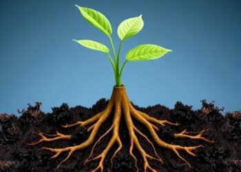 Mizzou Scientists Reveal Mechanisms Behind Plant Root Growth Regulation