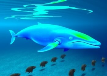 New 3D Acoustic Technology Reveals Elusive Beaked Whales Diving to the Seafloor off Louisiana Coast