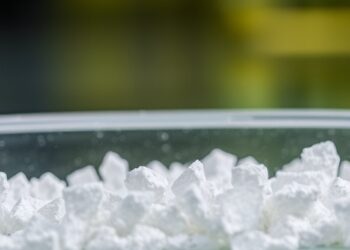 New Method to Extract Phosphorus from the Baltic Sea Could Reduce Europe’s Dependence on Imported Fertilizers