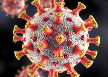 New Molecular Map Advances Development of Essential Hantavirus Treatments