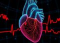 New Study Uncovers Cellular Mechanisms Behind Persistent Common Cardiac Arrhythmia