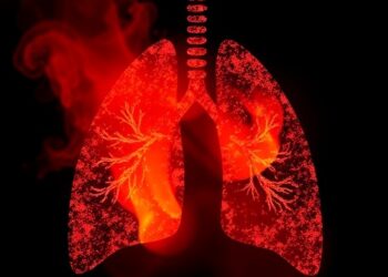 New Study Uncovers Mechanism Behind Burn Pit Particulate Matter–Induced Lung Inflammation