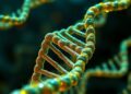 New Technology Uncovers Hidden DNA Scaffolding Formed Before Life Activates