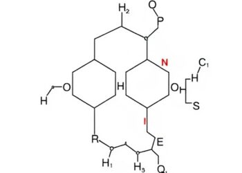 Palladium-Catalyzed Cascade Cyclization Enables Modular Construction of Chiral Nitrogen-Bridged Rings with High Diastereo- and Enantioselectivity
