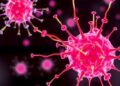 Peripheral Dendritic Cells Trigger Early Allergies