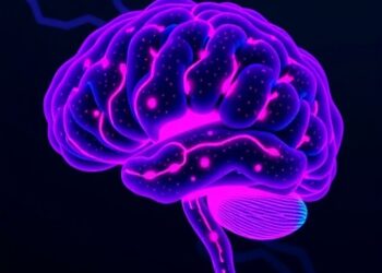 Researchers Identify Novel Gatekeeper Cell in the Brain