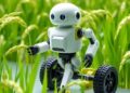 Rice Robots on the Rise: Pioneering Active Smart Materials