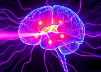 Safe Ultrasound Opens Brain Barrier via Tight Junctions