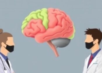 Scientists Chart Brain’s Blood Pressure Regulation Center