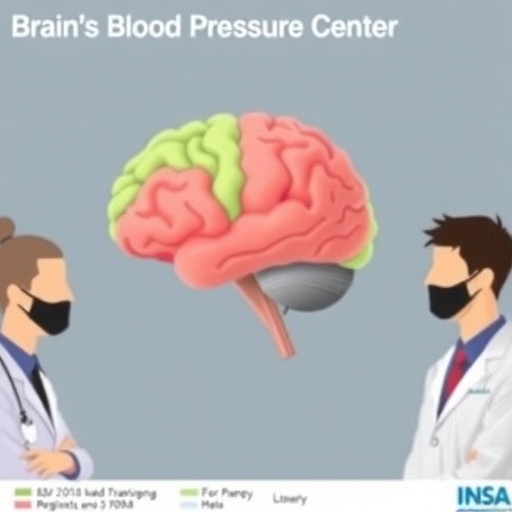 Scientists Chart Brain’s Blood Pressure Regulation Center