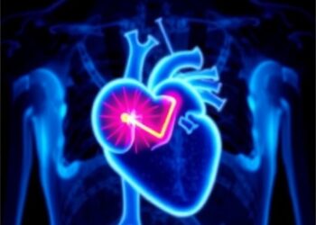 Speckle Echo Reveals Hidden Heart Issues in Epileptic Kids