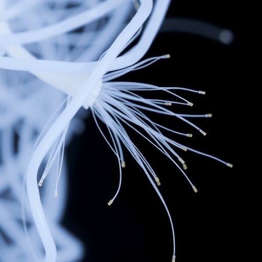 Stretchy Plastics Conduct Electricity Using Tiny Whisker-Like Fibers