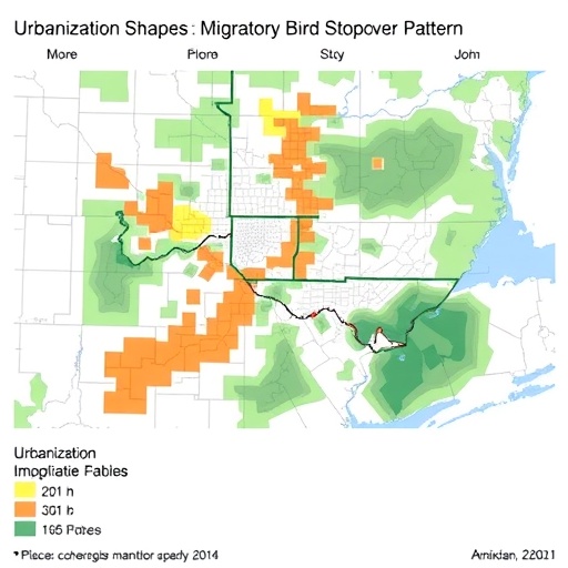 Urbanization Shapes Migratory Bird Stopover Patterns