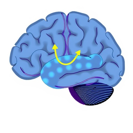 Vectorized Instructive Signals in Cortical Dendrites - BIOENGINEER.ORG