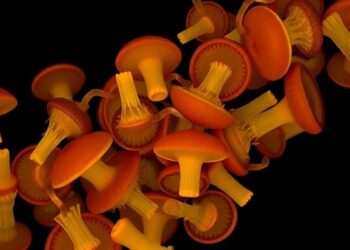 Yeast Centromeres Evolved from Ancient Retrotransposons