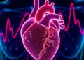$20M Initiative Launches to Tackle Key Care Challenges in Single Ventricle Heart Disease