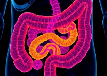 3D Ex-Vivo Imaging of Intestines via OCT