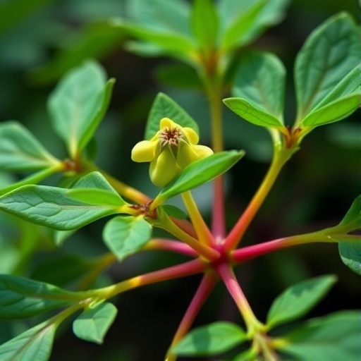 A Novel Connection Discovered Between Plants’ “Power Stations”