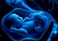 AI Advances PDA Diagnosis in Premature Infants