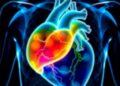 AI-Derived Heart Fat Measurement Enhances Precision in Predicting Cardiovascular Disease Risk