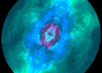 AI-Driven OCT Analytics Offer New Insights into Wound Healing