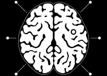 AI-Powered Tool Enhances Stroke Care and Patient Outcomes