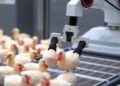 Advancing Poultry Processing Robotics with ChicGrasp: A Breakthrough in Automation