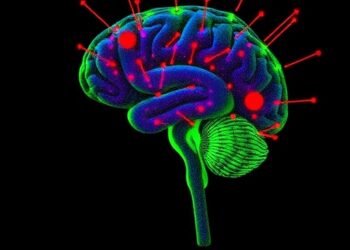 Astrocytes Influence the Development of Motor Coordination During Late Adolescence